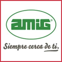 AMIG - 